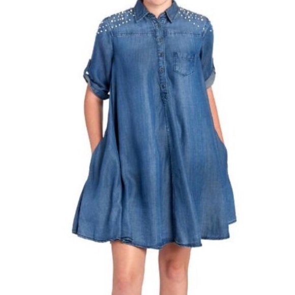 chelsea and theodore denim dress